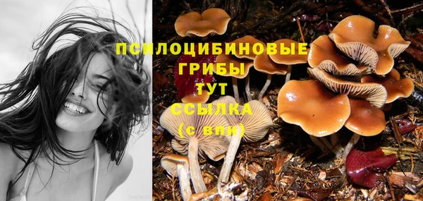 соль курить ск Верхний Тагил