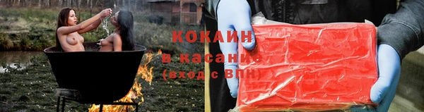 гидра Михайловка