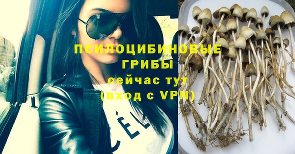 PSILOCYBIN Надым