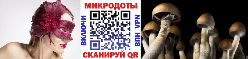 Галлюциногенные грибы прущие грибы  Райчихинск 